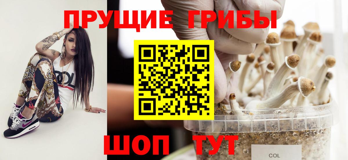 Псилоцибиновые грибы Cubensis Надым